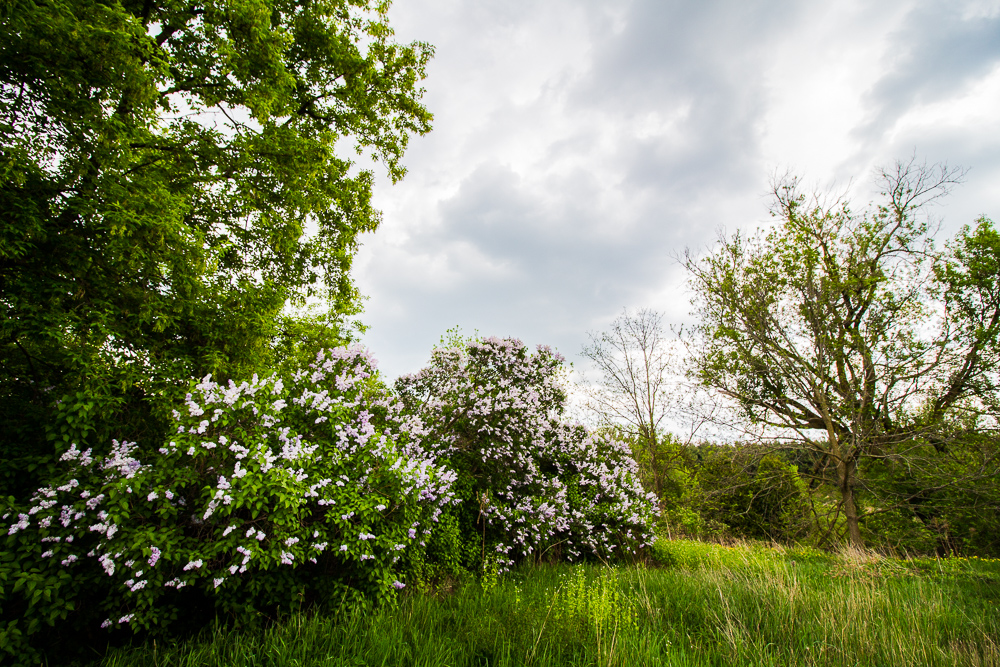 Dumfries Conservation Area